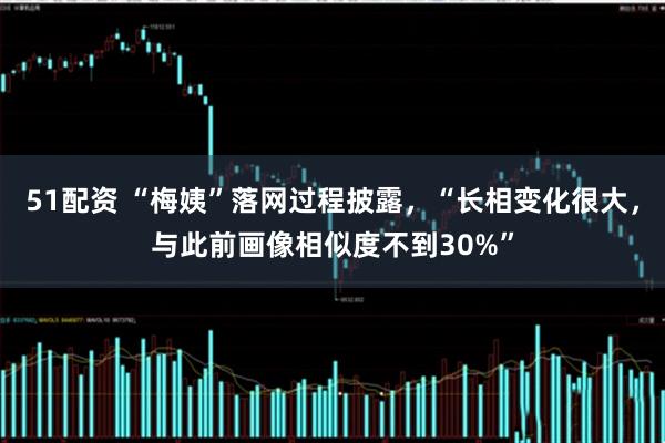 51配资 “梅姨”落网过程披露，“长相变化很大，与此前画像相似度不到30%”