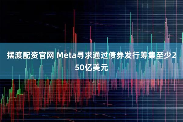 摆渡配资官网 Meta寻求通过债券发行筹集至少250亿美元