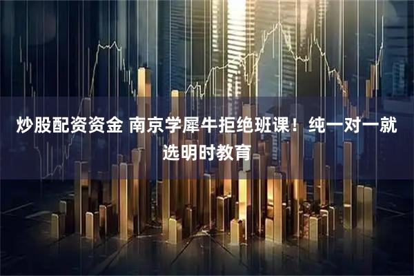 炒股配资资金 南京学犀牛拒绝班课！纯一对一就选明时教育